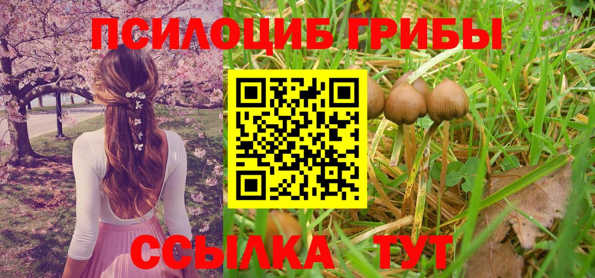 Псилоцибиновые грибы GOLDEN TEACHER Озёрск