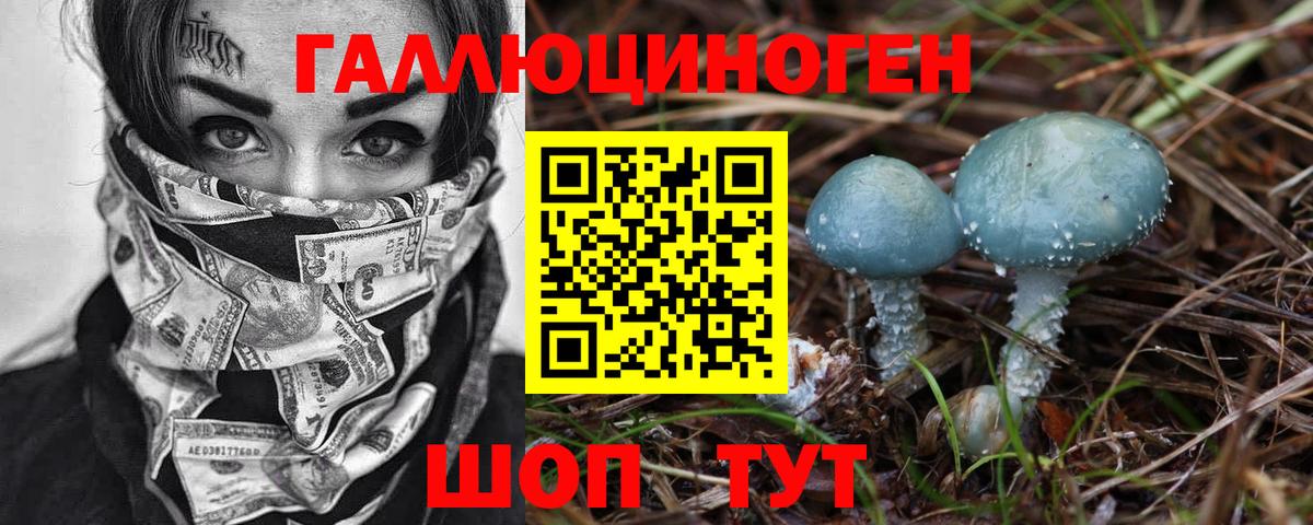 Псилоцибиновые грибы Psilocybe  Вход с VPN  Псилоцибиновые грибы ЛСД  Озёрск 