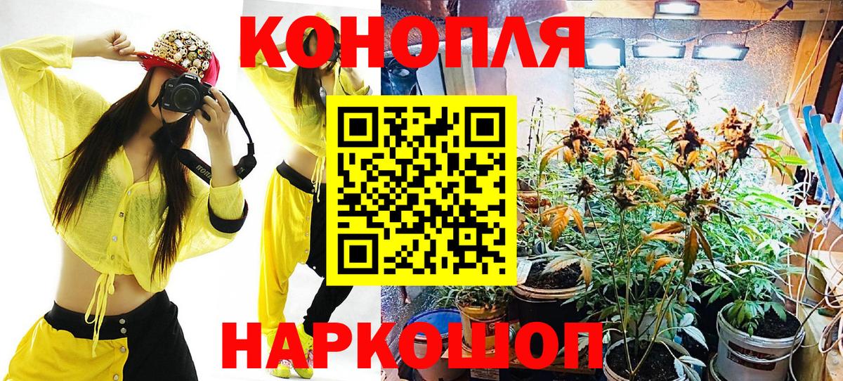 Бошки Шишки план  Вход с VPN  Бошки Шишки Amnesia  Озёрск 